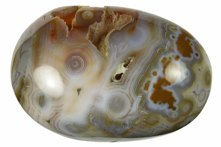 Polished Ocean Jasper Stone - New Deposit #276986